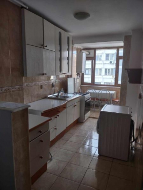 Down town condo Apartament ultracentral